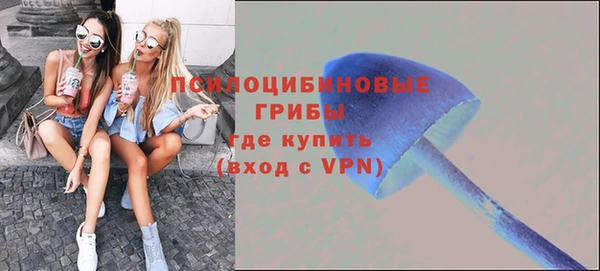 дурь Горнозаводск