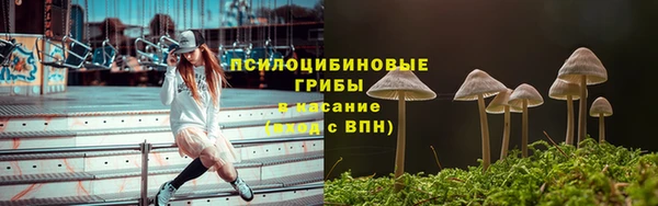 СК Горно-Алтайск