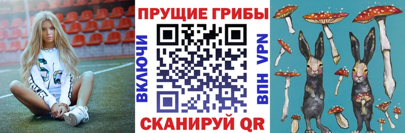 Купить  Нефтекамск  Галлюциногенные грибы MAGIC MUSHROOMS 